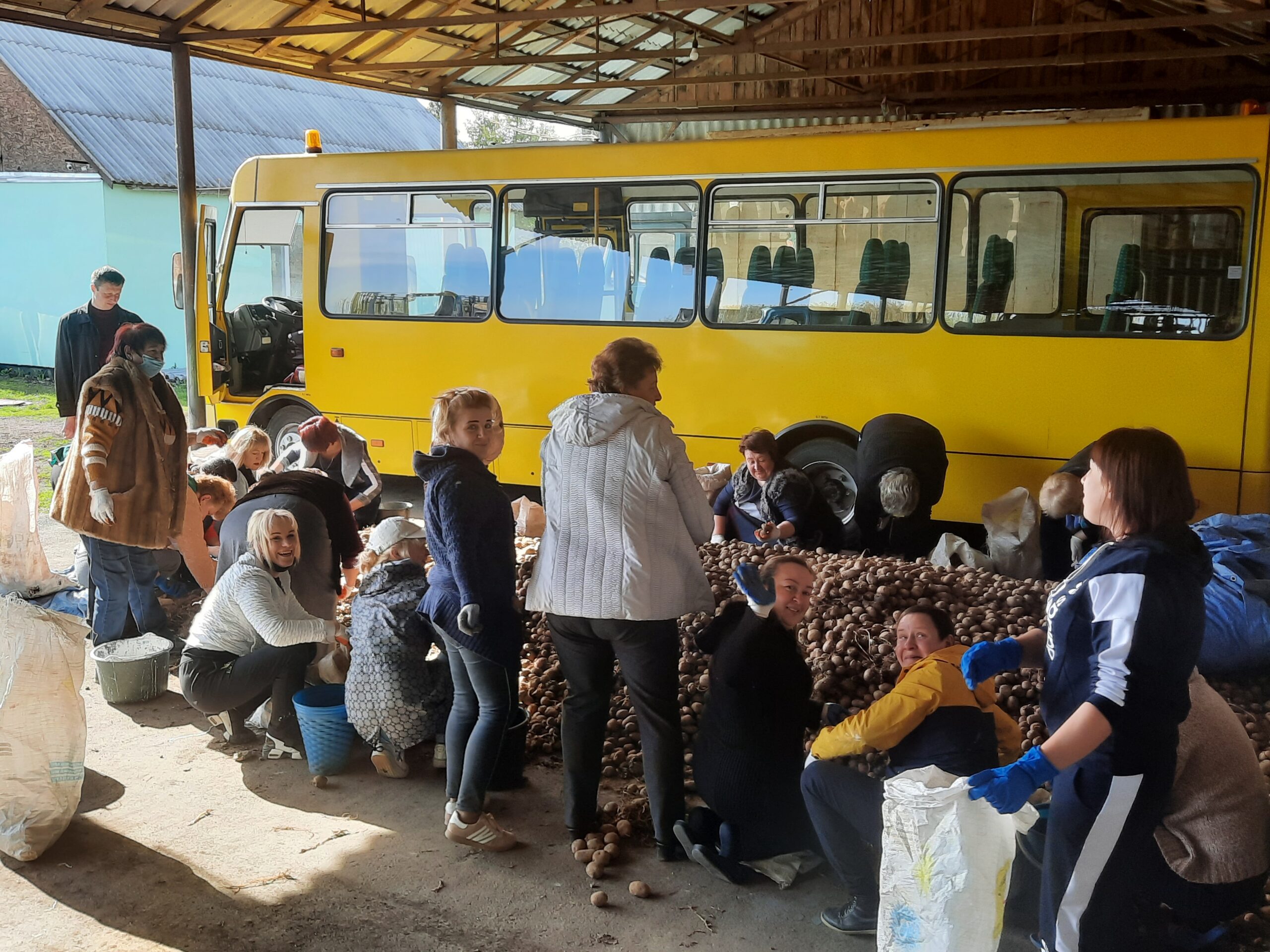 Весняна толока у розпалі