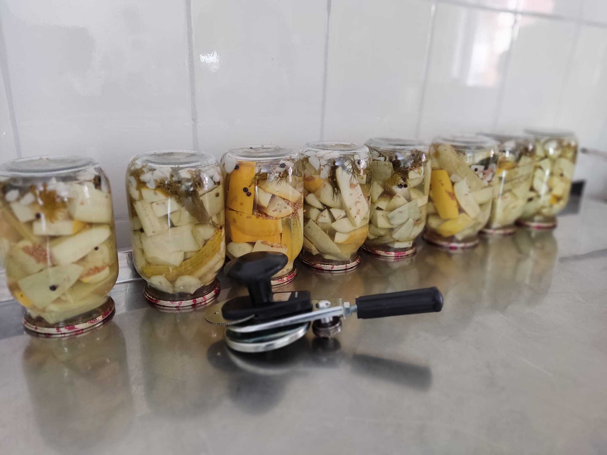 294604102_570161844605738_5367015959469634330_n