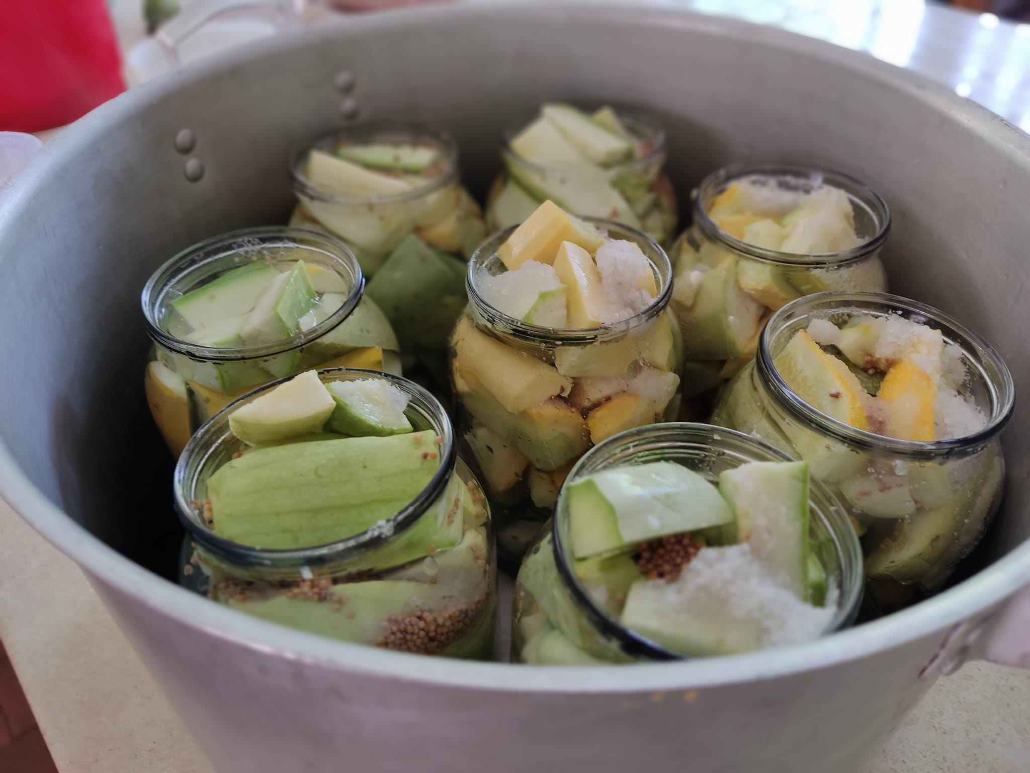 295066958_570161574605765_3786901179313818361_n