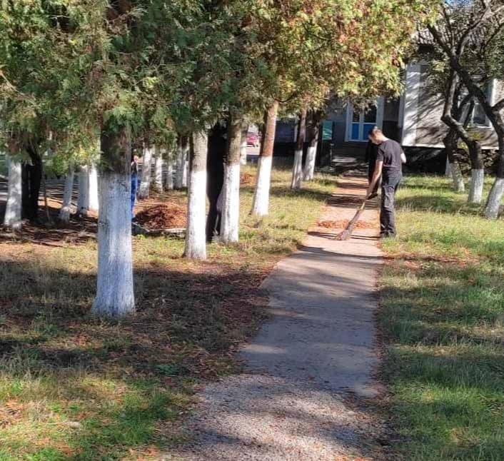 311172870_555227876407353_473589372210843460_n