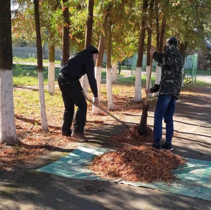 311379420_555227763074031_5588346619204942549_n