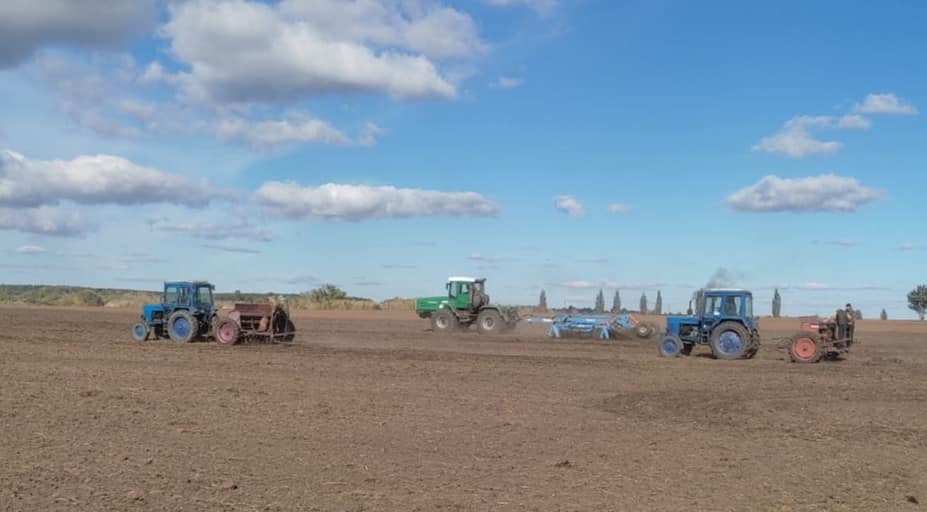 311382980_555235263073281_8904321338621215566_n